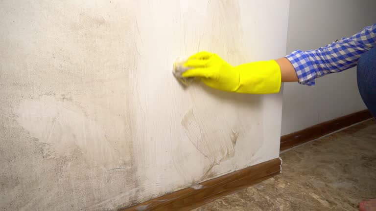 Best Mold Odor Removal Services  in Corydon, IN